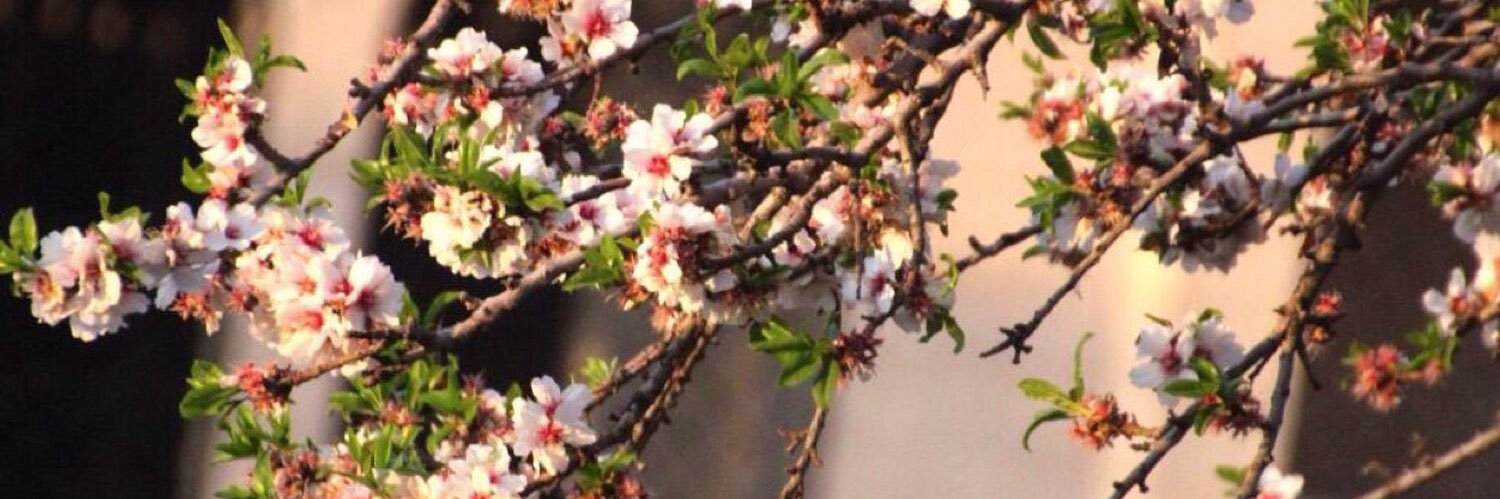 UUURAMA0123's profile banner image