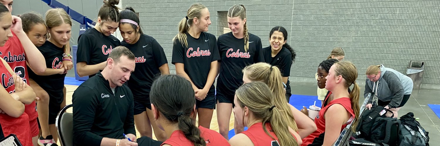 Michigan Cobras Basketball banner