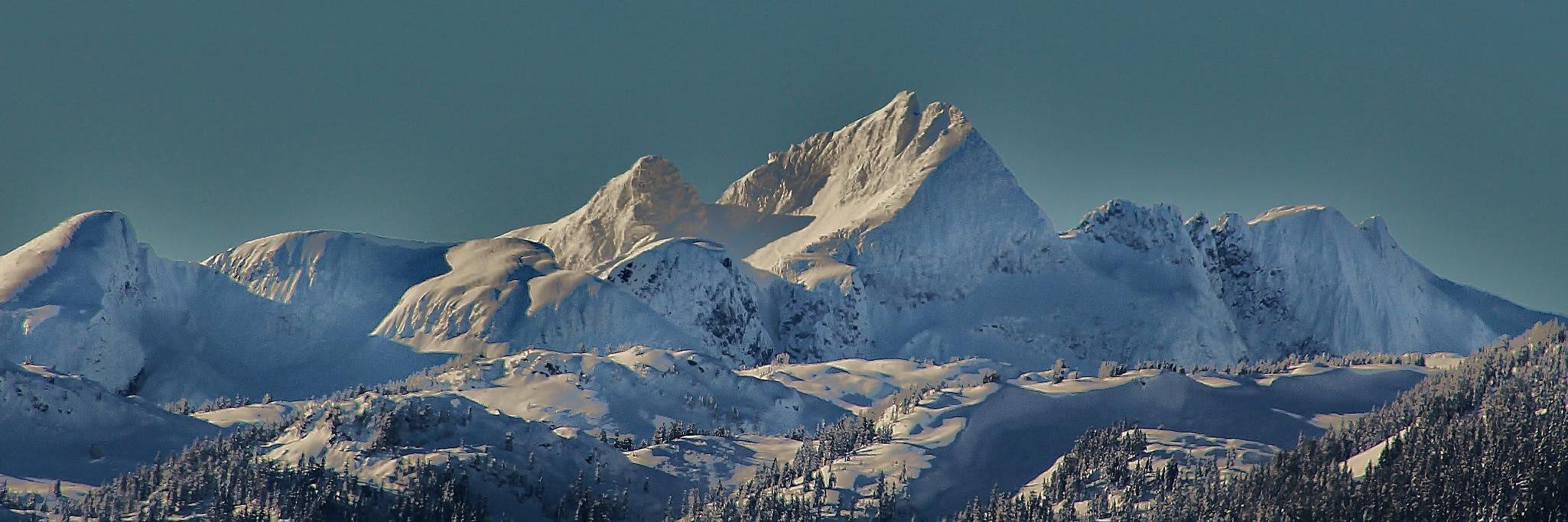 madwitt's profile banner image