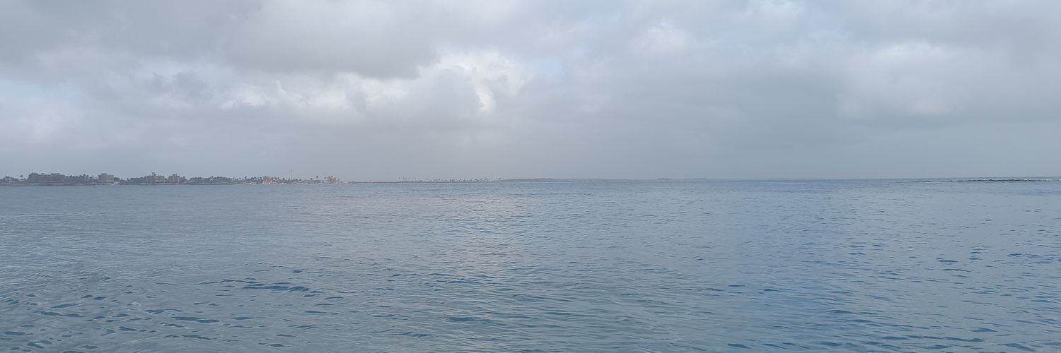 Dayris13's profile banner image