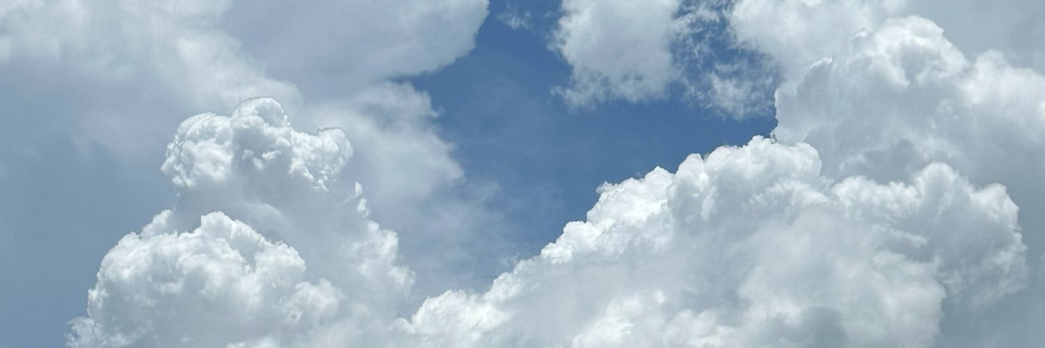 beesbetss's profile banner image