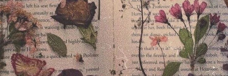 🐦‍⬛ #1312 | 🍉 banner
