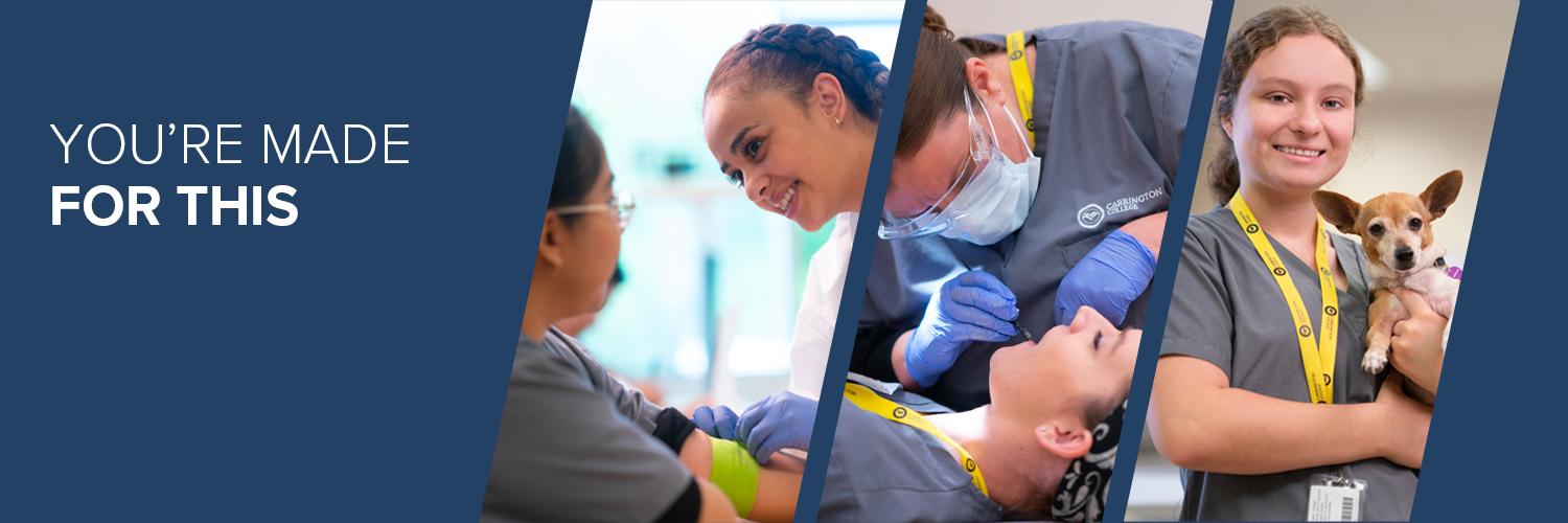 CarringtonEdu's profile banner image