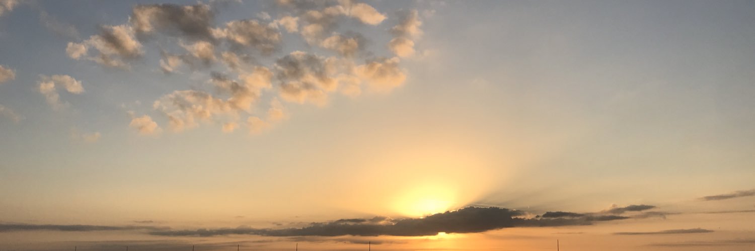 SalliDiB's profile banner image