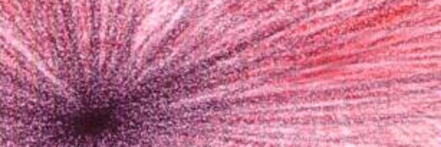 MeiKatLeh's profile banner image