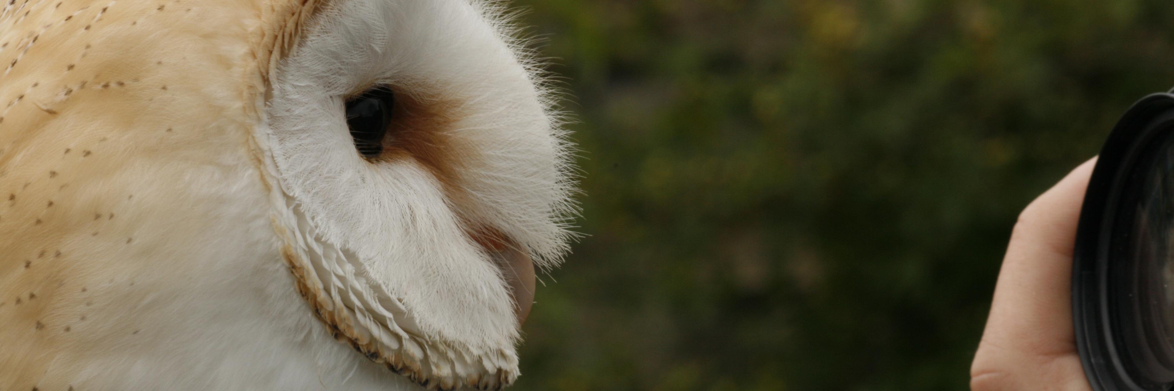 Ecolmel's profile banner image