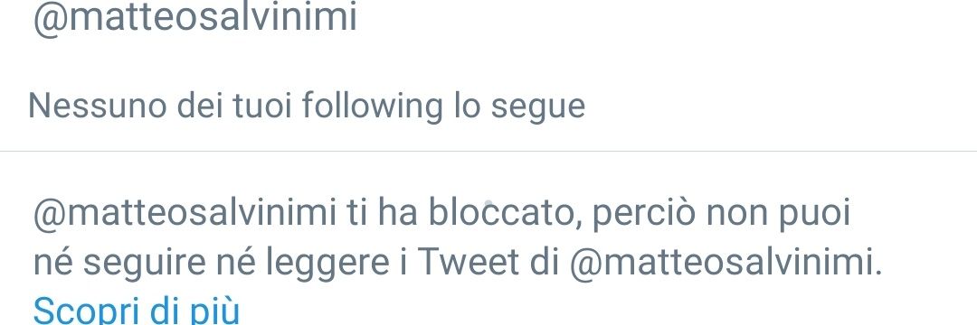 QUESTA È UNA PROVOCAZIONE. 🇮🇹 🇪🇺 banner