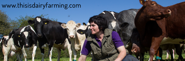 Thisisdairyfarming banner