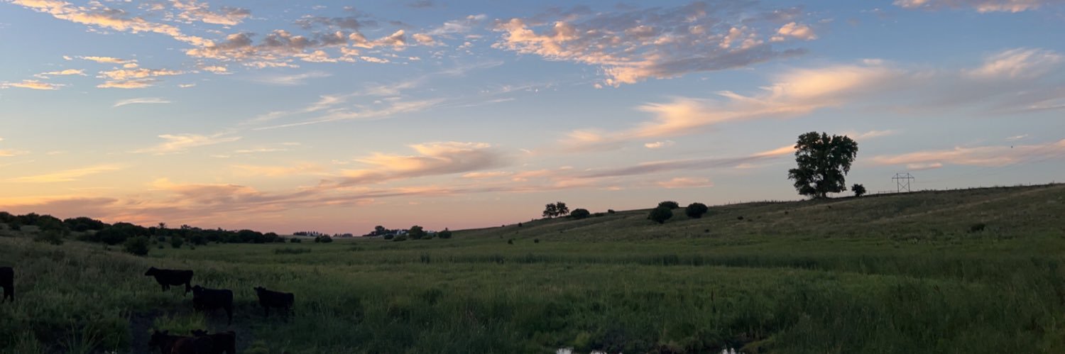 Tammmeyer's profile banner image