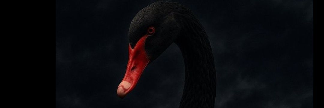SeEvKeMa's profile banner image
