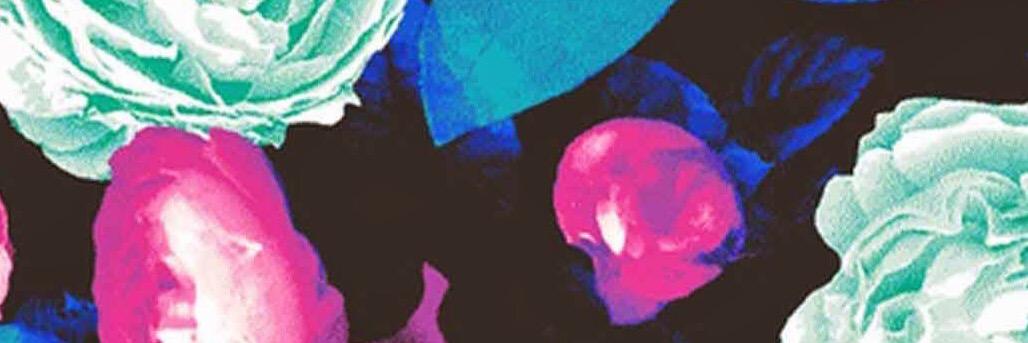 KimiRona's profile banner image