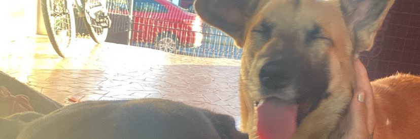 labris4_'s profile banner image