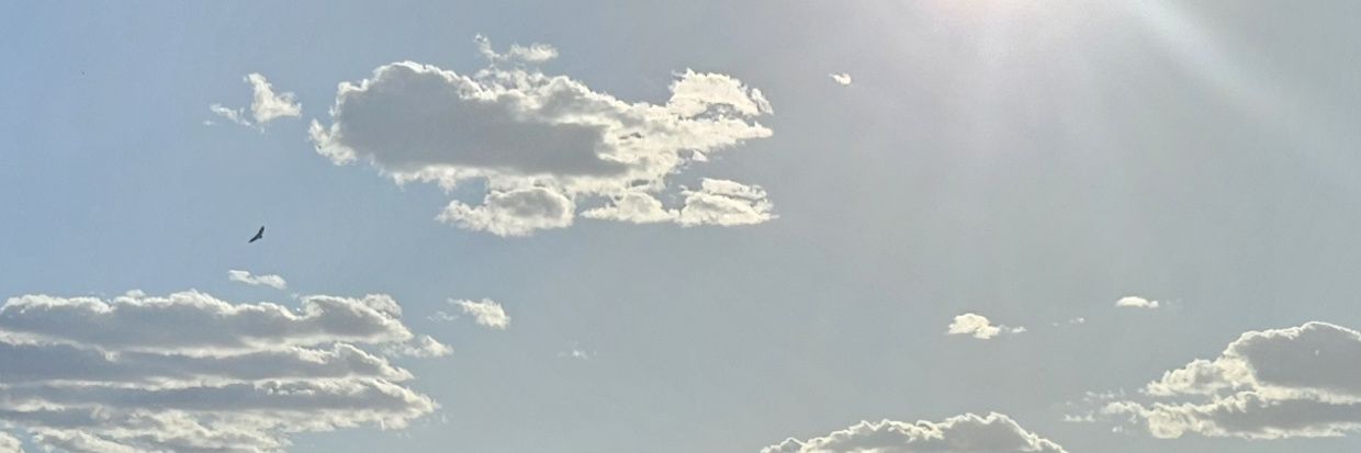 andkyy5's profile banner image