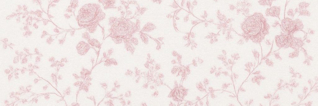 aisaals's profile banner image