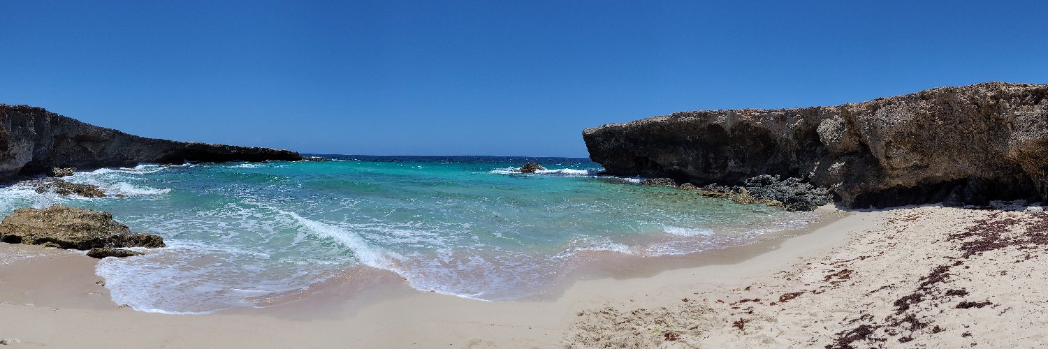 John Whitehead banner