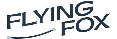 Flying Fox Ventures banner