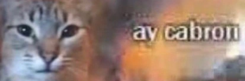 HonestYelper's profile banner image