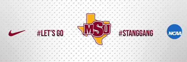 MSUtxXCTF Profile Banner