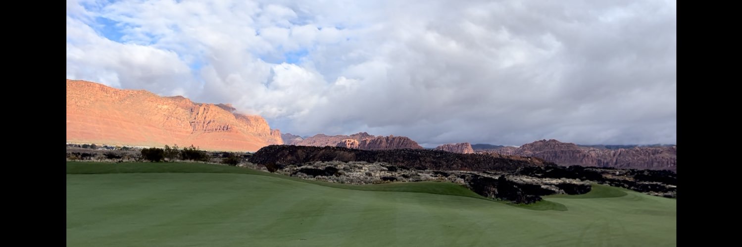 Mark Holbrook banner