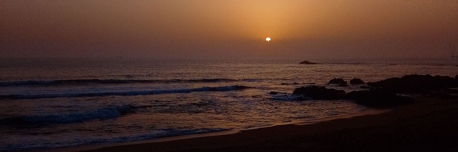 Isamar Parra☽ banner