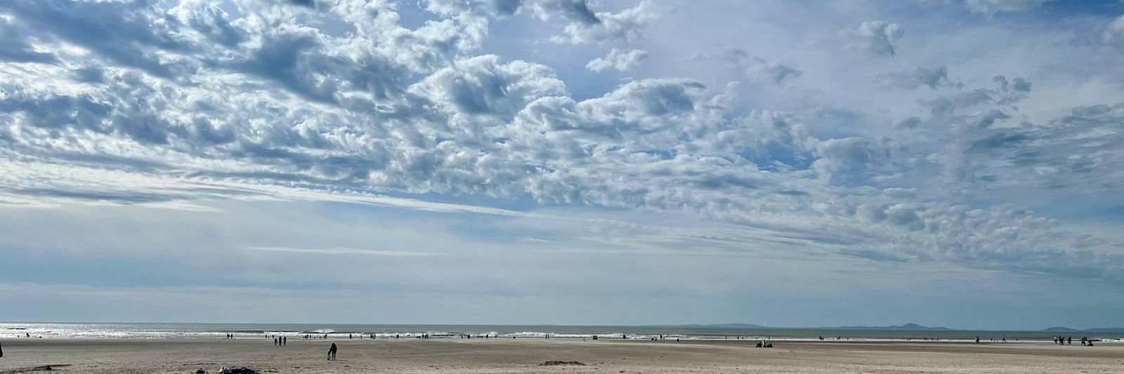 Steve Hemsley banner