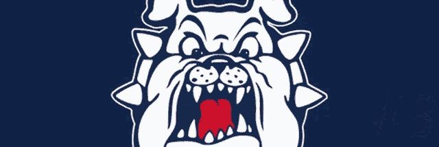 Chris Stahowski banner