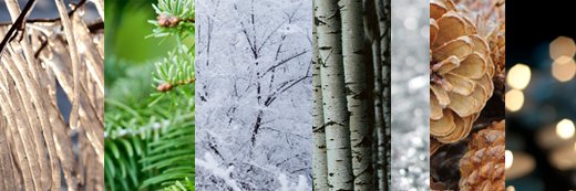 McFarDoug's profile banner image