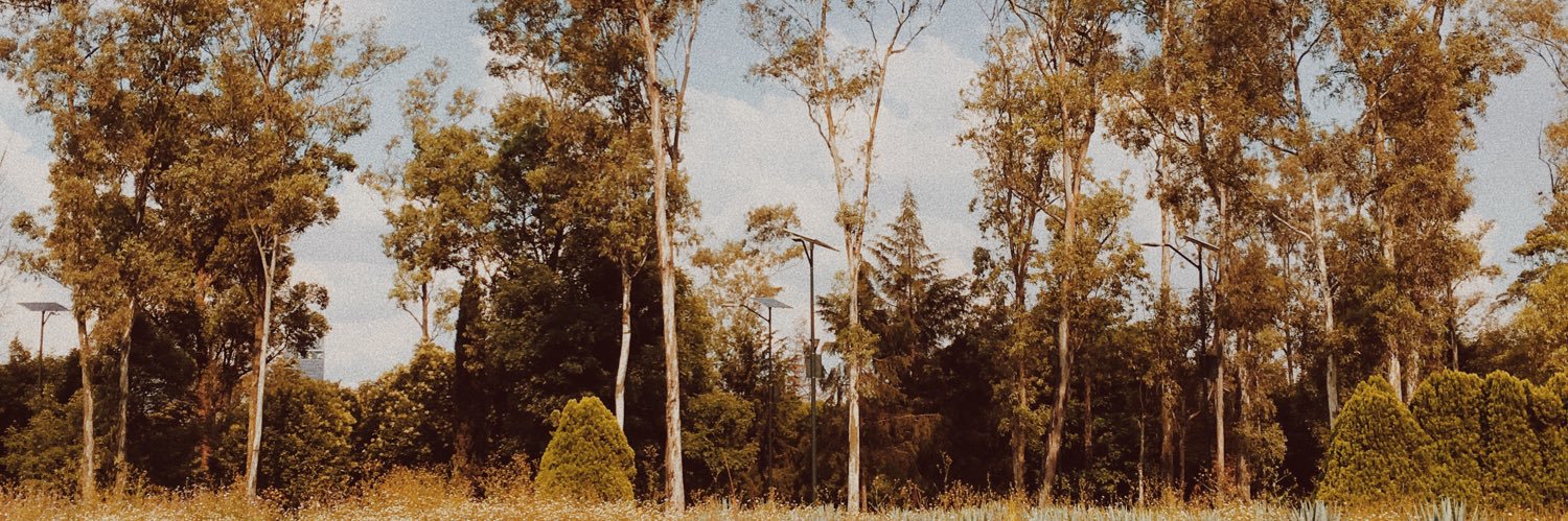 MelinaBellator's profile banner image