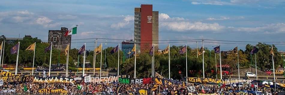 Yar Carpio banner