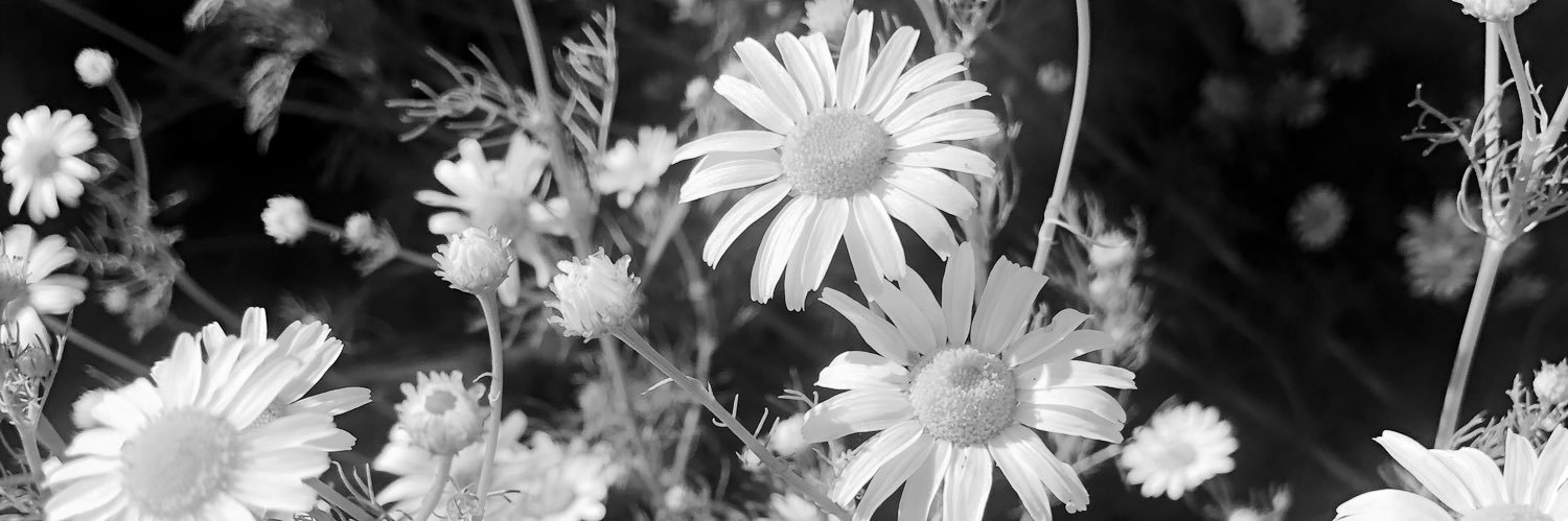 grechagrecha's profile banner image