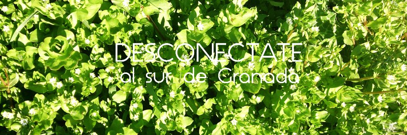 alsurdegranada_'s profile banner image