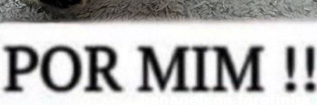 imnot_tulio banner