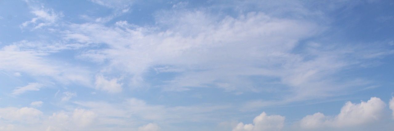 nisa banner