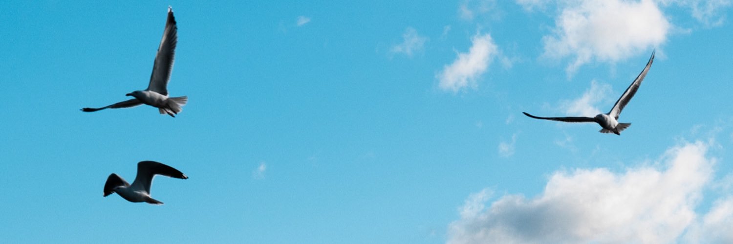 Thom_Bian's profile banner image