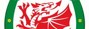 Chris Jenkins banner