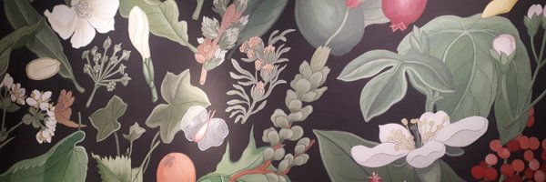 shari__vw Profile Banner