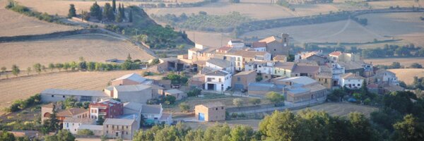 trempoli19 Profile Banner