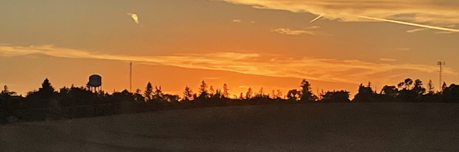 lisababyh's profile banner image
