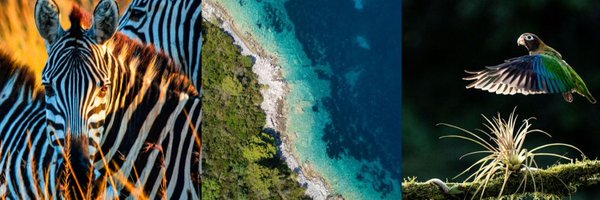 BHI_GLOBAL Profile Banner