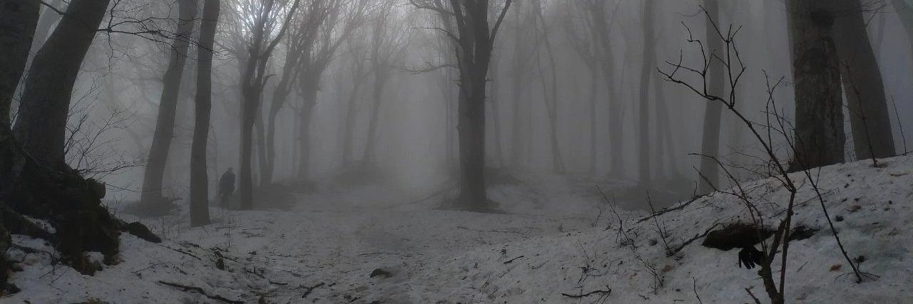 naostka's profile banner image