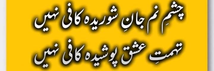 zali166's profile banner image