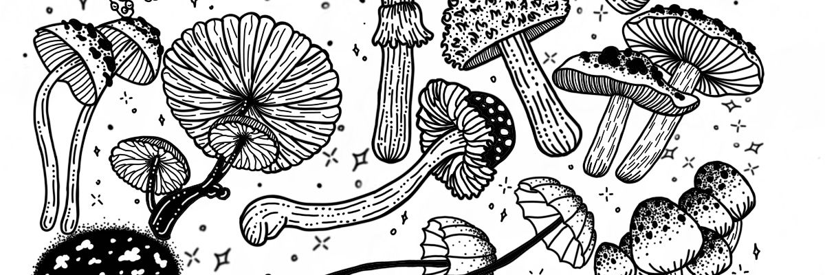 AdaraNaanim's profile banner image