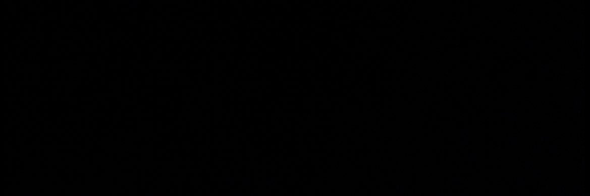 polina banner