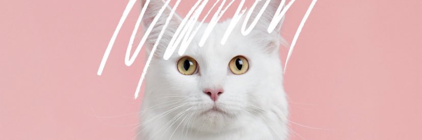 —————I———- banner