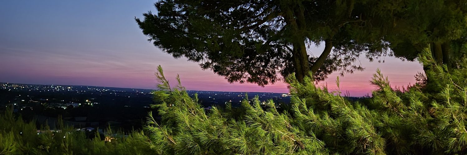 Mr. Nobody 🦆🟣 banner