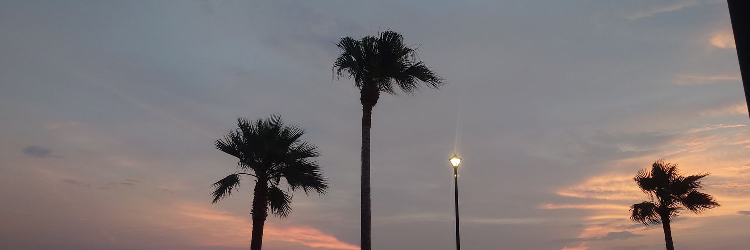 99N012607's profile banner image