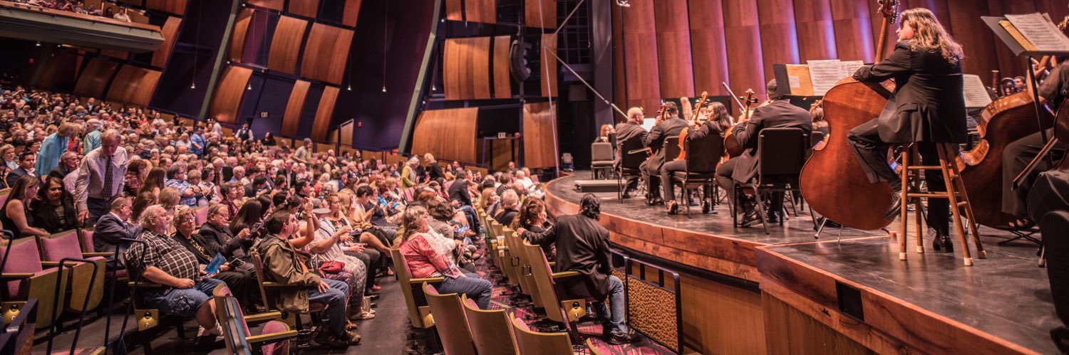 Valley Symphony Orchestra banner