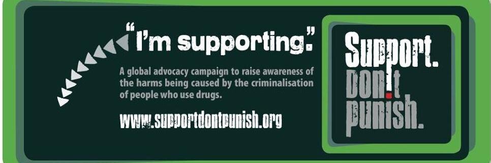 IDPC en español banner