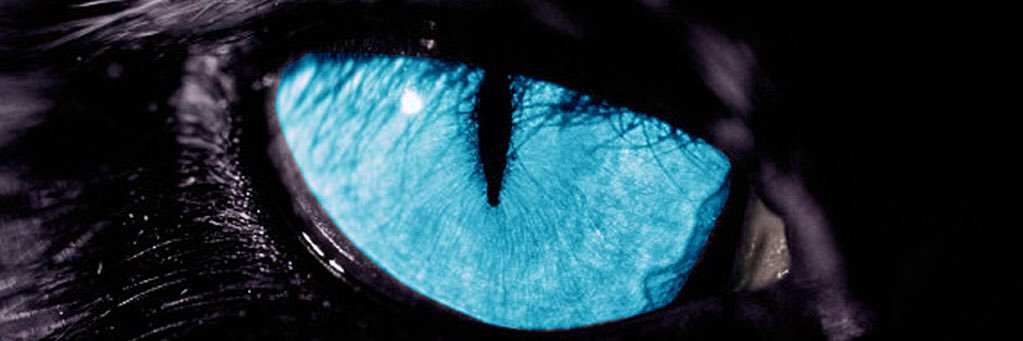 MATAGAI's profile banner image