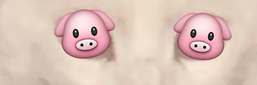 JayTaoF's profile banner image